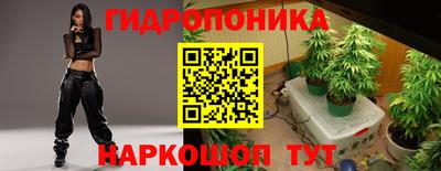 мяу мяу мука Лесосибирск