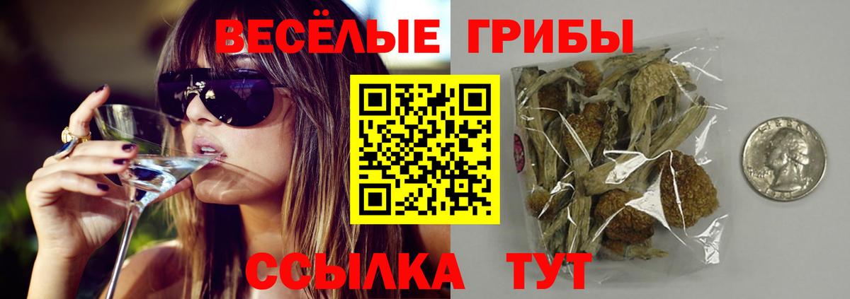 Галлюциногенные грибы ЛСД  Вход с VPN  Зерноград 